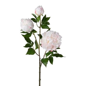 Branche de fleurs artificielles Pivoine CRUNT, blanc, 85cm