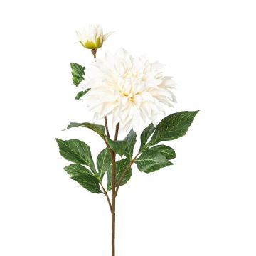 Fleur décorative Dahlia VUNKE, crème, 80cm