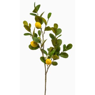 Branche de citronnier artificielle DUNKAN avec des fruits, fleurs, jaune, 95 cm Branche de citronnier artificielle DUNKAN avec des fruits, fleurs, jaune, 95 cm