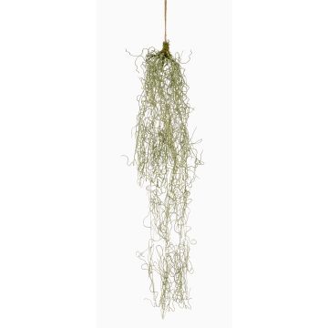 Plante succulente artificielle Suspension de tillandsia usneoides RUWEN, vert, 90cm Plante succulente artificielle Suspension de tillandsia usneoides RUWEN, vert, 90cm
