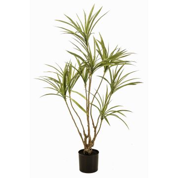 Arbre artificiel Dracaena marginata SHALLU, troncs artificiels, vert, 120 cm Arbre artificiel Dracaena marginata SHALLU, troncs artificiels, vert, 120 cm