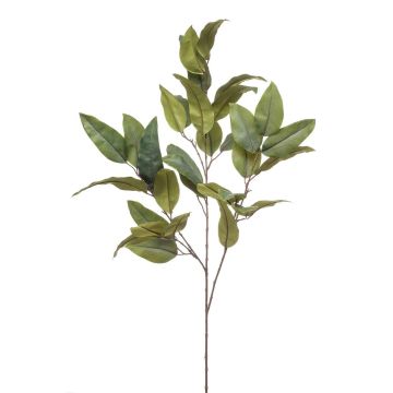 Branche d'eucalyptus artificielle BELUNI, vert, 125cm