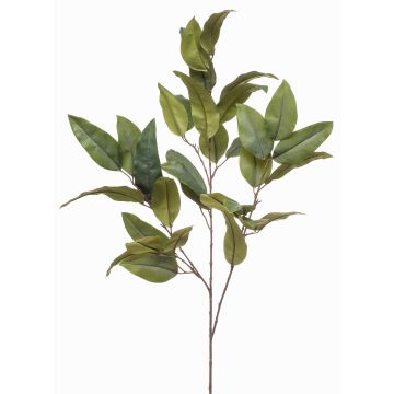 Branche d'eucalyptus artificielle BELUNI, vert, 125cm