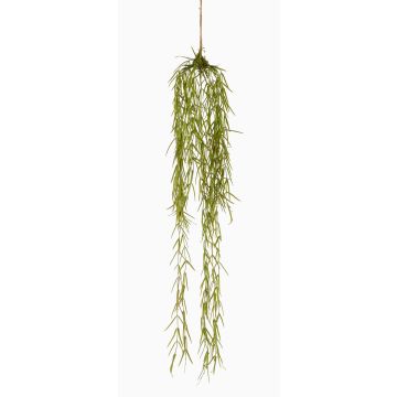Plante succulente artificielle Suspension de hoya linearis TAMON, vert, 90cm