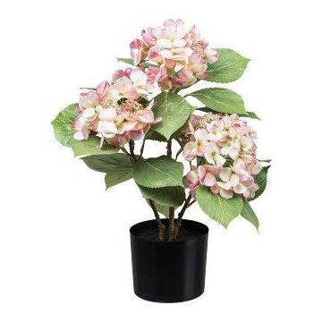 Fleur artificielle Hortensia TRAVOLI, rose-crème, 55cm
