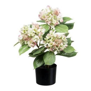 Fleur artificielle Hortensia TRAVOLI, vert-rose, 55cm