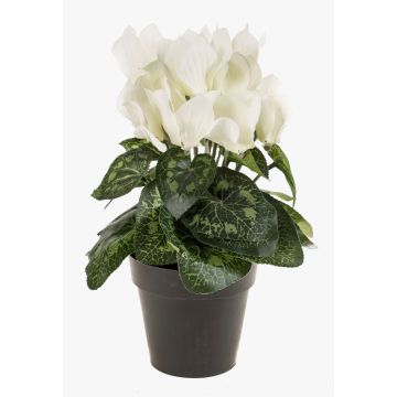 Cyclamen artificiel HEIDI dans un pot décoratif, crème, 25cm, Ø5-8cm
