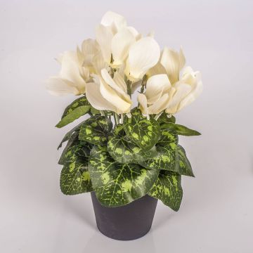 Cyclamen artificiel HEIDI dans un pot décoratif, crème, 25cm, Ø5-8cm