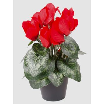 Cyclamen artificiel HEIDI, pot d&eacute;coratif, rouge, 25cm, &Oslash;5-8cm