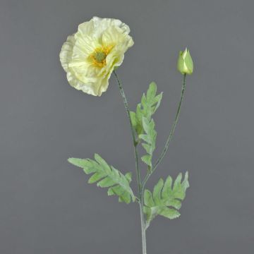 Faux Coquelicot LISSIE, crème, 70cm, Ø12cm