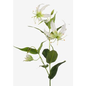 Gloriosa artificielle FUJITA, crème-vert, 80cm, Ø15cm