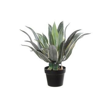 Succulente artificielle Agave americana KYANO, pot décoratif, vert-crème, 55cm