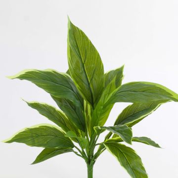 Fausse cordyline VALDA, sur piquet, vert-blanc, 30cm Fausse cordyline VALDA, sur piquet, vert-blanc, 30cm