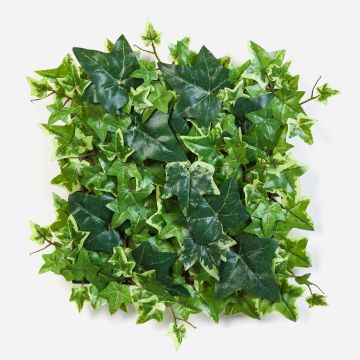 Plaque de lierre en plastique LUKA, vert-blanc, 30x30cm Plaque de lierre en plastique LUKA, vert-blanc, 30x30cm