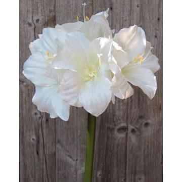 Amaryllis artificiel DAGGI, blanc, 70cm, Ø11-18cm