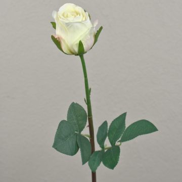 Rose artificielle SAPINA, crème-abricot, 60cm, Ø6cm