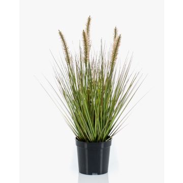 Graminée artificielle YWAIN, panicules, beige-vert, 45cm