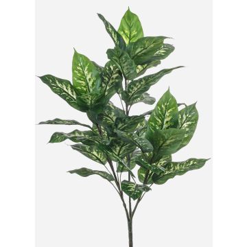 Plante artificielle Dieffenbachia ELSAWA sur tige, verte, 70 cm Plante artificielle Dieffenbachia ELSAWA sur tige, verte, 70 cm
