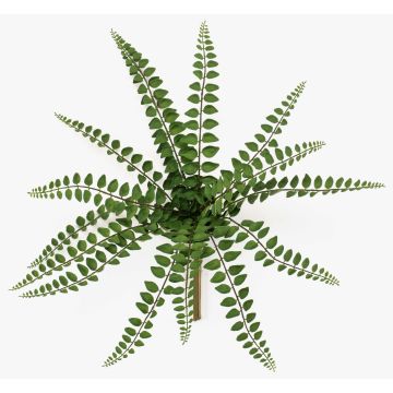 Plante artificielle fougère à feuilles rondes GEVROL sur tige, difficilement inflammable, verte, 35cm Plante artificielle fougère à feuilles rondes GEVROL sur tige, difficilement inflammable, verte, 35cm