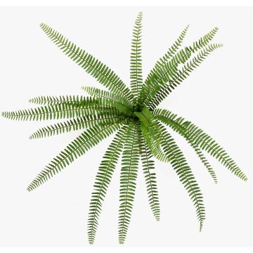Plante artificielle fougère épée DREGON sur tige, difficilement inflammable, verte, 60 cm