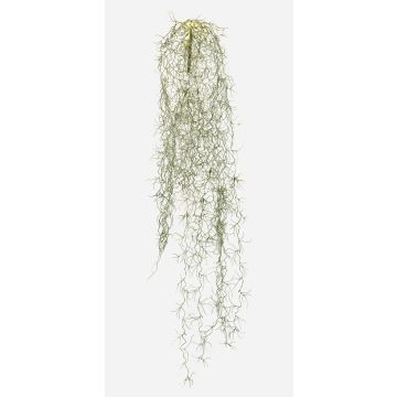 Plante succulente artificielle Tillandsia usneoides GRALER, tige, difficilement inflammable, grise, 90 cm