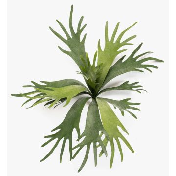 Fausse plante fougère à cornes VIGRAL, tige, difficilement inflammable, verte, 50 cm Fausse plante fougère à cornes VIGRAL, tige, difficilement inflammable, verte, 50 cm