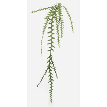 Plante artificielle cactus à feuilles BRAGIN, tige, difficilement inflammable, verte, 125 cm Plante artificielle cactus à feuilles BRAGIN, tige, difficilement inflammable, verte, 125 cm