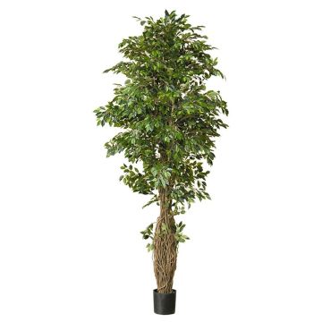 Plante artificielle Ficus Benjamina ALMINKO, tronc naturel, vert, 330cm Plante artificielle Ficus Benjamina ALMINKO, tronc naturel, vert, 330cm