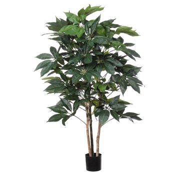 Plante décorative Schefflera BOGDANA, tronc naturel, vert, 160cm Plante décorative Schefflera BOGDANA, tronc naturel, vert, 160cm