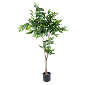 Plante en plastique Caféier BORRA, tronc naturel, 150cm Plante en plastique Caféier BORRA, tronc naturel, 150cm