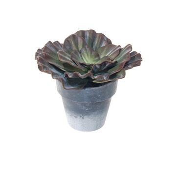 Echeveria rosea artificiel MARNIE, cache-pot, rouge bourgogne-vert, 15cm
