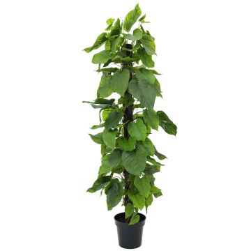 Pothos en plastique HELGO, vert, 180cm