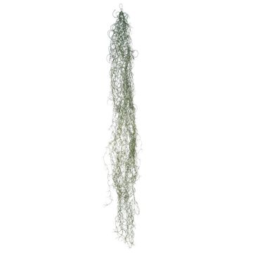 Succulente décorative Tillandsia Usneoides MIRIEL, vert, 130cm Succulente décorative Tillandsia Usneoides MIRIEL, vert, 130cm