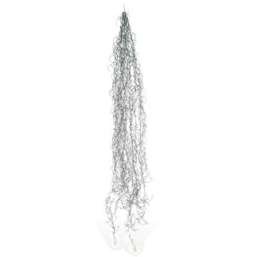 Succulente décorative Tillandsia Usneoides MIRIEL, gris, 130cm Succulente décorative Tillandsia Usneoides MIRIEL, gris, 130cm
