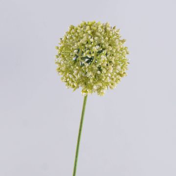 Allium artificiel HELLA, scintillant, crème-vert, 75cm, Ø11cm