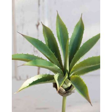 Agave artificiel UNATHI sur piquet, vert, 25cm