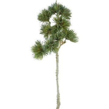 Branche décorative Cèdre LOXARA, vert, 60cm