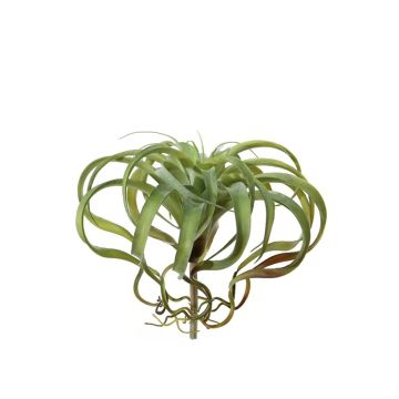 Tillandsia xerographica artificiel AZARD, piquet, vert-rouge, 30cm, Ø35cm Tillandsia xerographica artificiel AZARD, piquet, vert-rouge, 30cm, Ø35cm