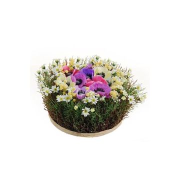 Arrangement d'anémone et de pâquerette artificiel IKAIA, multicolore, 12cm, Ø20cm Arrangement d'anémone et de pâquerette artificiel IKAIA, multicolore, 12cm, Ø20cm