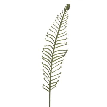 Feuille artificielle de fougère royale DRAGU, vert, 95cm