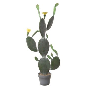 Figuier de Barbarie artificiel LEODORA avec fleurs, pot décoratif, vert-jaune, 105cm Figuier de Barbarie artificiel LEODORA avec fleurs, pot décoratif, vert-jaune, 105cm
