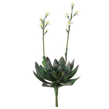 Plante succulente artificielle Aeonium LILKA, avec fleurs, piquet, vert-blanc, 35cm Plante succulente artificielle Aeonium LILKA, avec fleurs, piquet, vert-blanc, 35cm