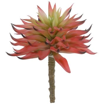 Succulente artificielle Echeveria elegans LUGA, piquet, rouge bourgogne-vert, 16cm Succulente artificielle Echeveria elegans LUGA, piquet, rouge bourgogne-vert, 16cm