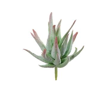 Agave decipiens artificiel KIANE, piquet, vert-gris-rouge, 10cm