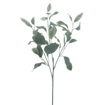 Fausse branche d'eucalyptus MALEEN, collection écologique, vert, 75cm Fausse branche d'eucalyptus MALEEN, collection écologique, vert, 75cm