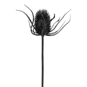 Fleur artificielle « chardon noble » DRINTA, noir, 75 cm