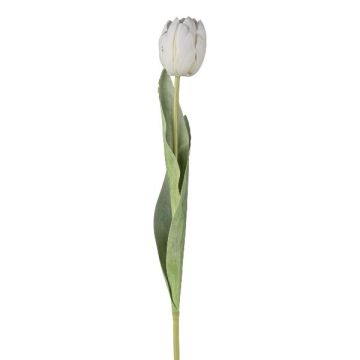 Fleur décorative Tulipe GUSNAV, blanc, 50cm, Ø5cm Fleur décorative Tulipe GUSNAV, blanc, 50cm, Ø5cm