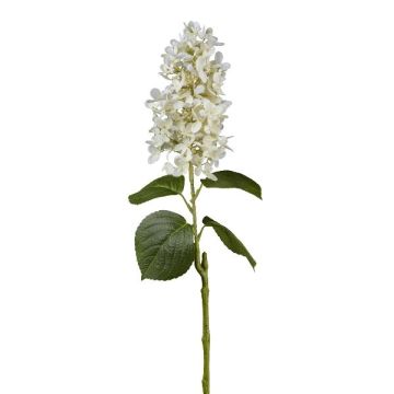 Fleur en plastique Hortensia paniculé KINELY, blanc, 75cm Fleur en plastique Hortensia paniculé KINELY, blanc, 75cm