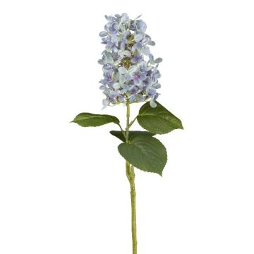 Fleur en plastique Hortensia paniculé KINELY, bleu clair, 75cm