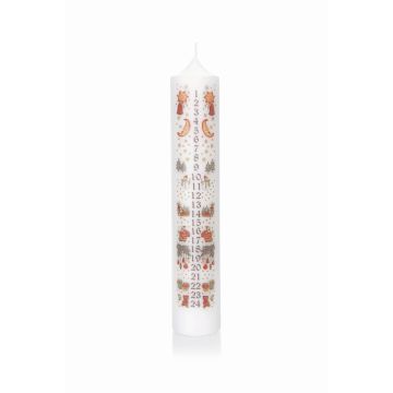 Calendrier de l'Avent, bougie cylindrique LAMBERTINA, jours de l'Avent en impression photo, blanc et multicolore, 26,5 cm, Ø 5 cm - Fabriqué en Allemagne Calendrier de l'Avent, bougie cylindrique LAMBERTINA, jours de l'Avent en impression photo, blanc et multicolore, 26,5 cm, Ø 5 cm - Fabriqué en Allemagne